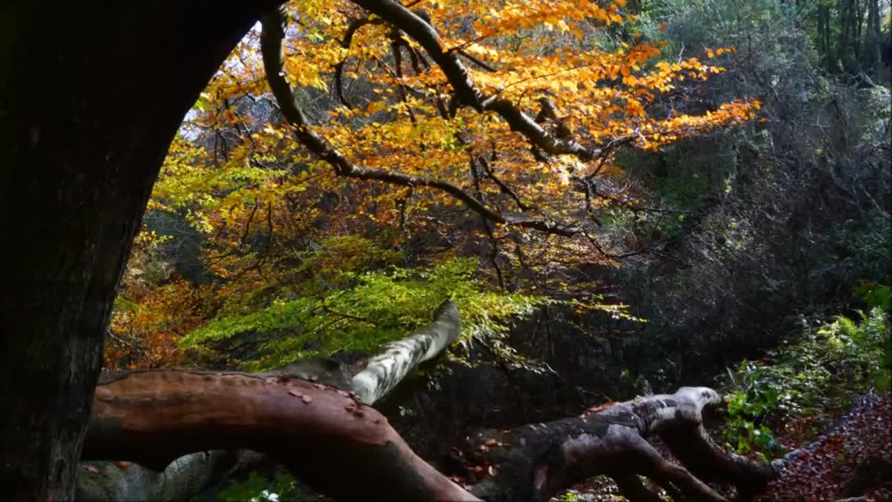 Mols Bjerge Landskaber På Opdagelse Djursland