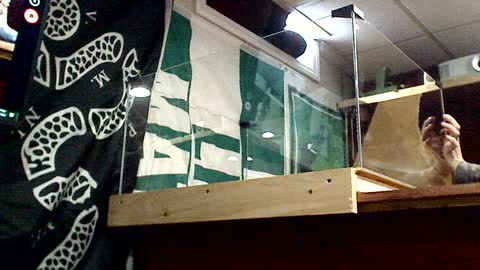 tank build removing film