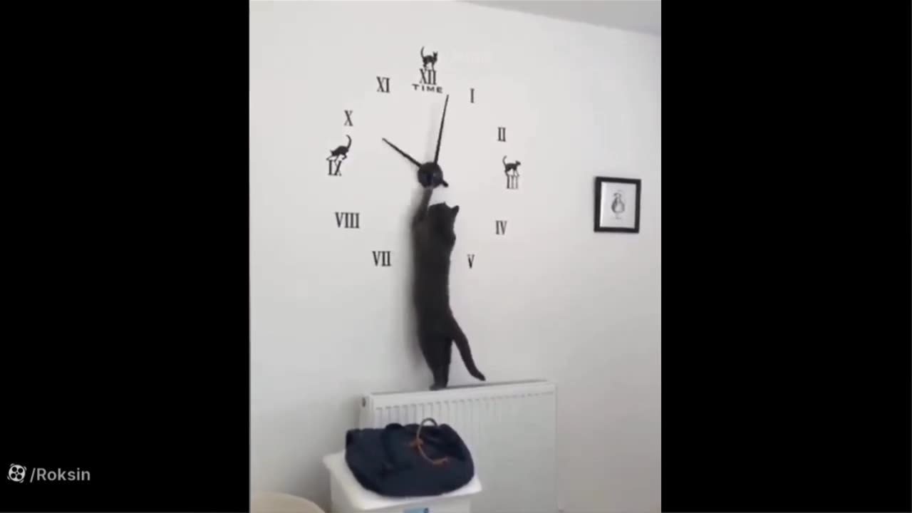 Very funny cat video| Repairing home appliances😅😅