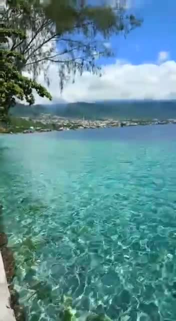 Beautiful sea, and blue skies