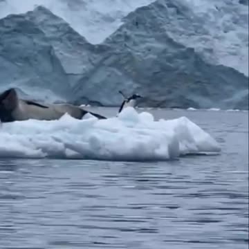 Sorry. My bad. Wrong address. 🤣😂🤣