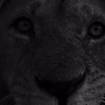 @danscavinoforce "Someone out there is holding their breath waiting for you to fail"