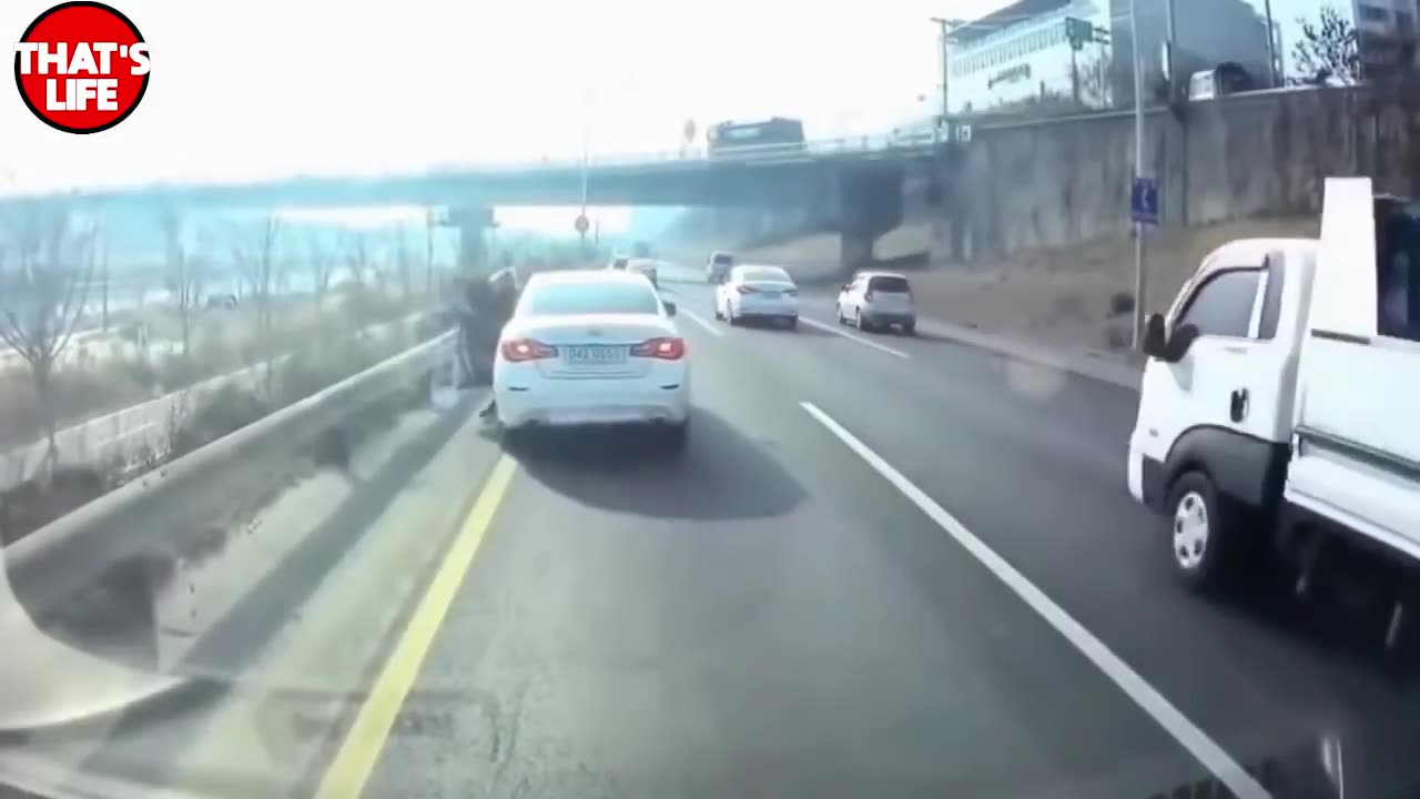 Epic Traffic Fails: When Driving Goes Wrong!