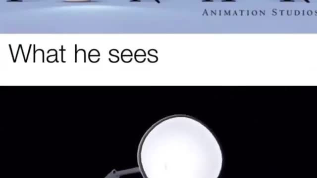 Funny Videos | Meme