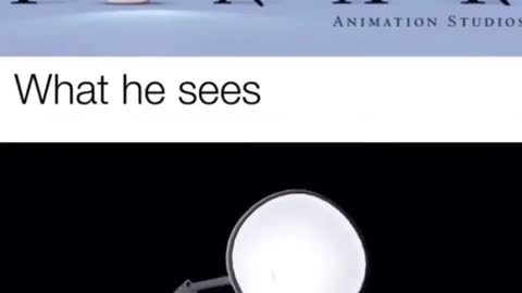 Funny Videos | Meme