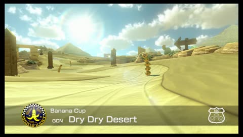 Mario Kart8 Deluxe Race13