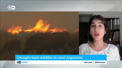 Firefighters in northern Argentina are struggling to contain massive wildfires | DW News