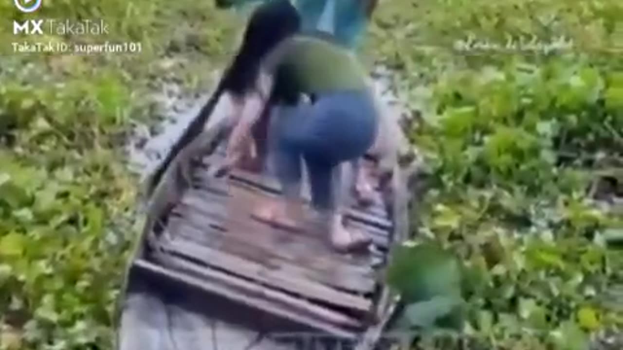 Boat Video