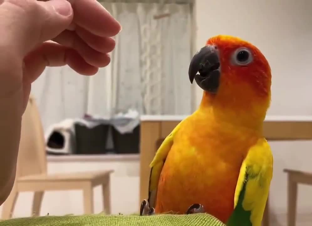 The moment he realizes the hand belongs to friend.