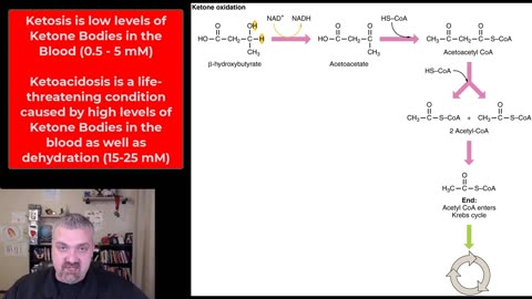 Ketones and Ketosis: Anatomy and Physiology