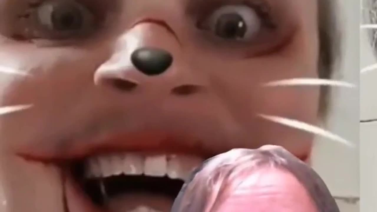 99 points evilcat redeem