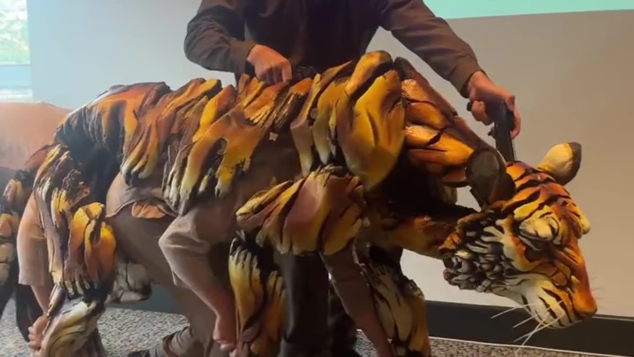 Just Look at the Tiger