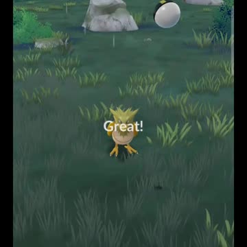 Pokémon GO-Shiny Spearow