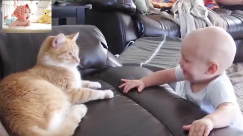 Must watch Funny Babies and Animals