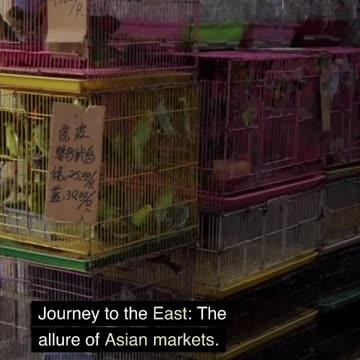 The Capital Compass Pointing Towards Profits