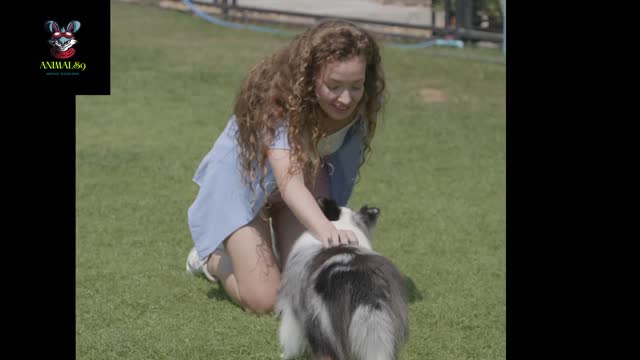 dogs love us part 2