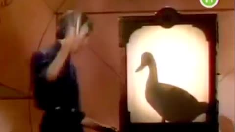 Magician David Copperfield - Death Defying Duck