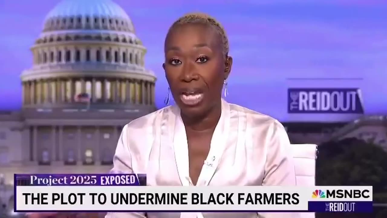 INSANE: Joy Reid Admits Anti-White Racism Is Real In Disgusting Defense