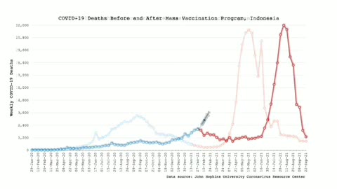 'Covid Deaths' before and after Vaccination Country by Country - Shocking