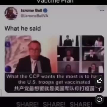 CHINESE Vaccine plan
