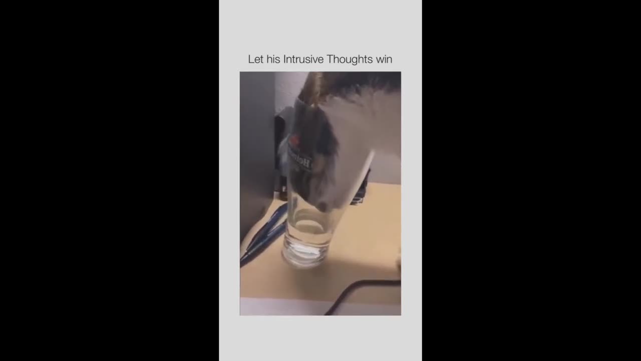 Best FAILS of 2023 ( TRY NOT TO LAUGH )