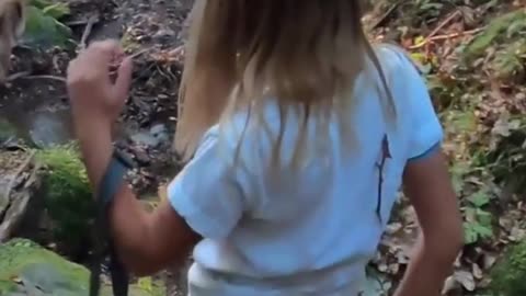 bear encounter