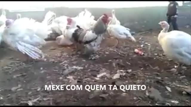 MEXEU, LEVOU..!