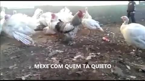 MEXEU, LEVOU..!