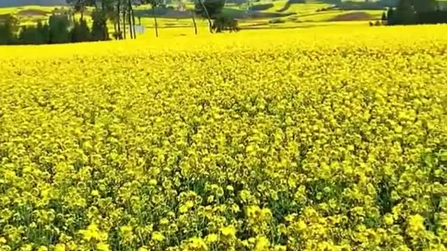 The beauty of nature