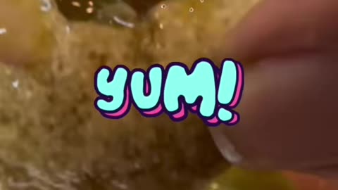 Delicious and ymmmmy