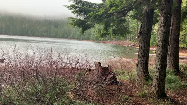 Oregon – Mount Hood National Forest – Small Majestic Lake – 4K