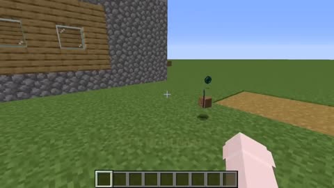 what's inside Creepypasta mobs in minecraft?