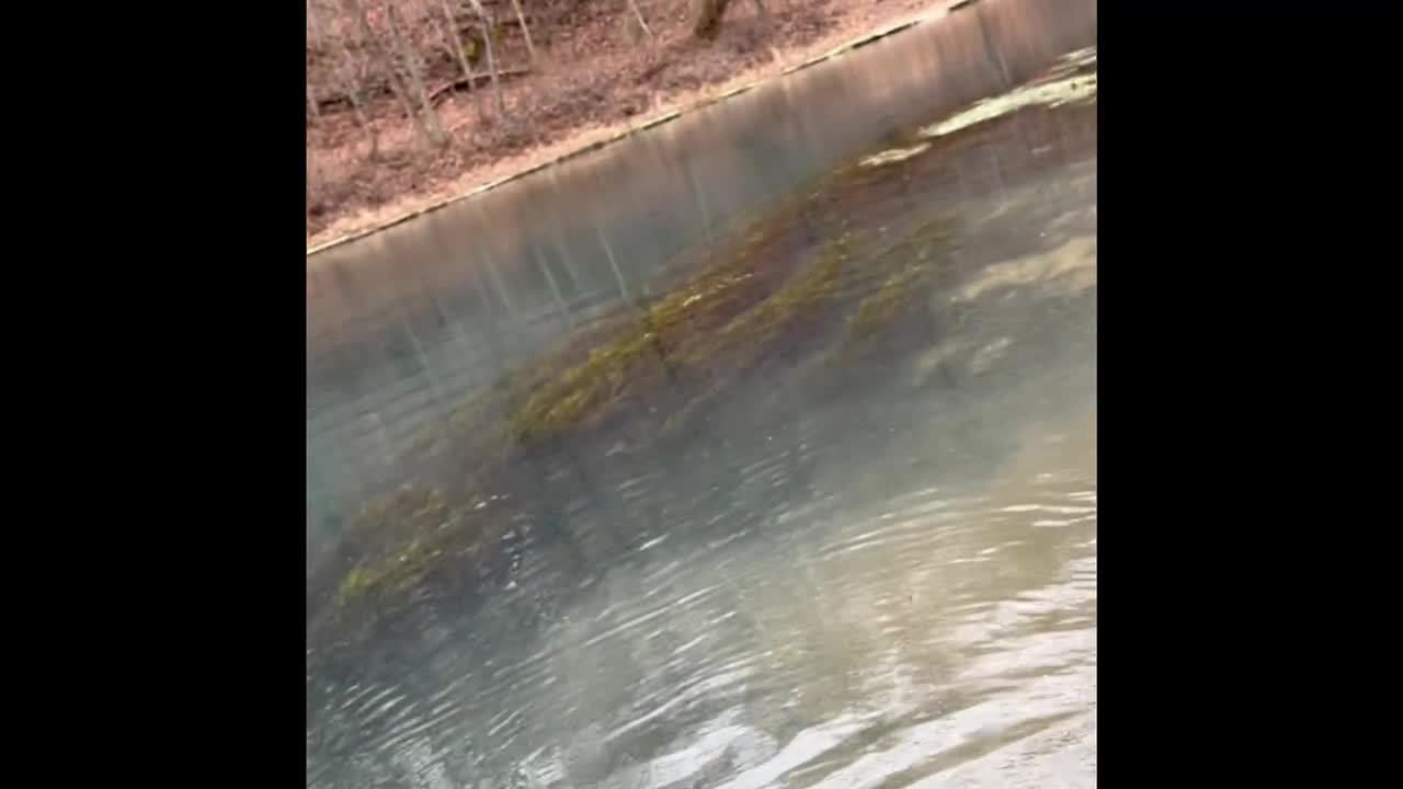 Maramec Spring Park Catch & Release