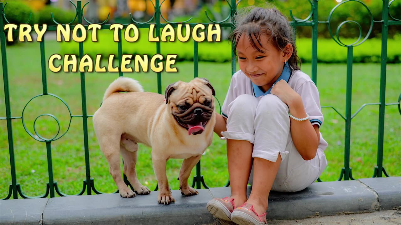 The Funniest & Cutest Dogs And Kids 🙉 TRY NOT TO LAUGH CHALLENGE