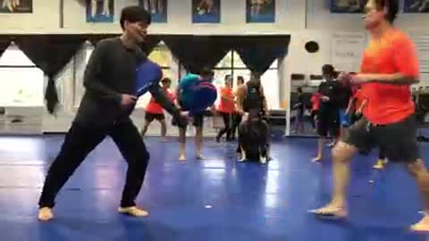 Taekwondo