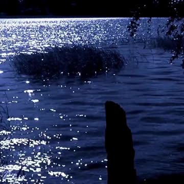 Breath of Bliss Meditation for Joyful Well-Being 😄 #meditation #bliss #shorts