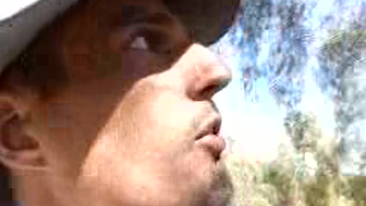 11:49, BRANCHES = THE COCOA = HEROES = SHEARS = SECRET