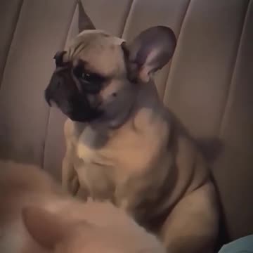 The moment you realize that you're all out of TREATS