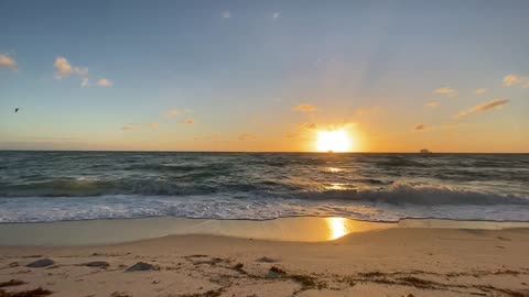 Beach Website Background Video
