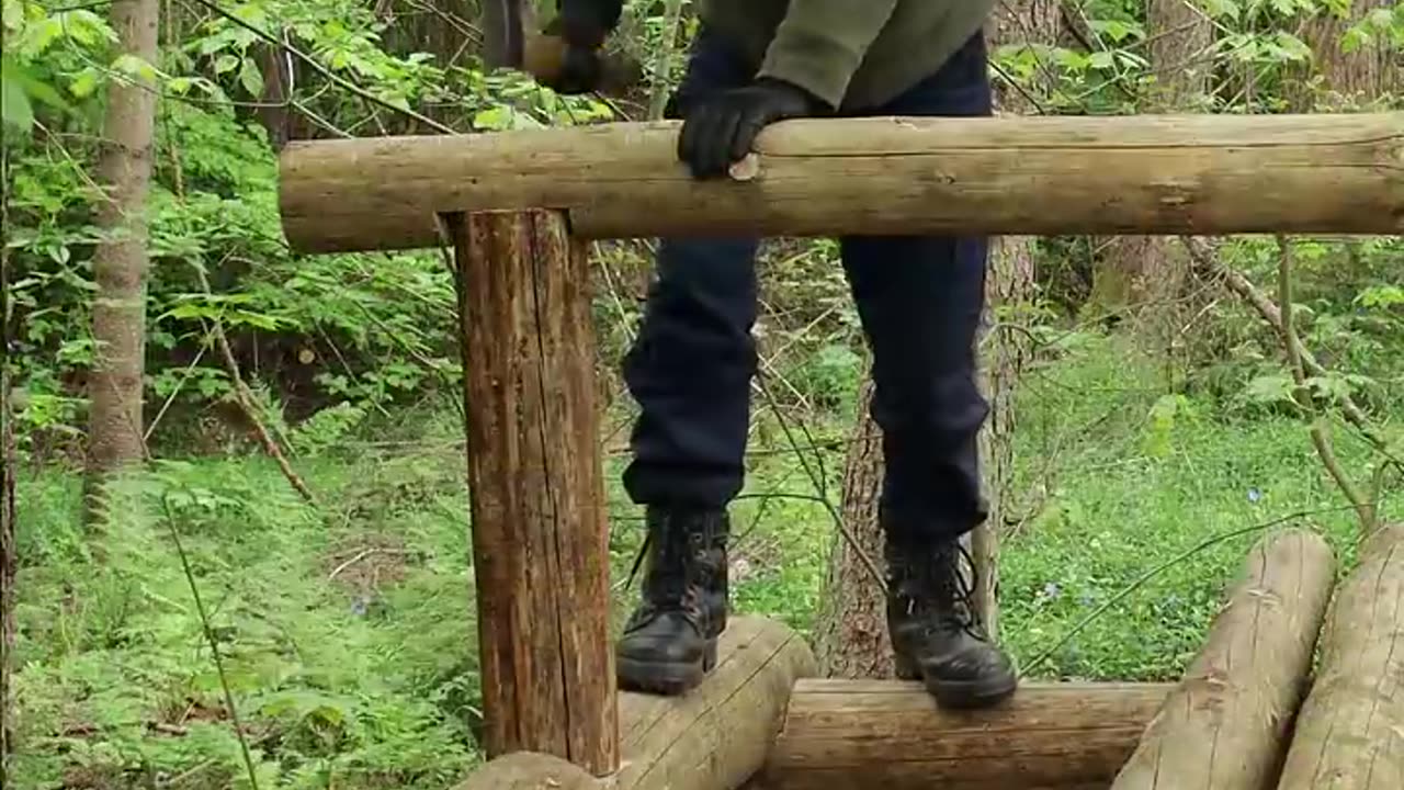 Building a log Shelter Atmospheric Forest interesting