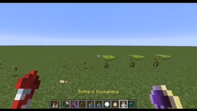 Minecraft highlights