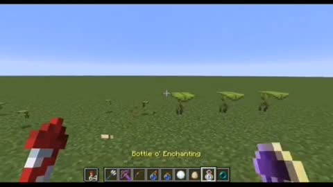 Minecraft highlights
