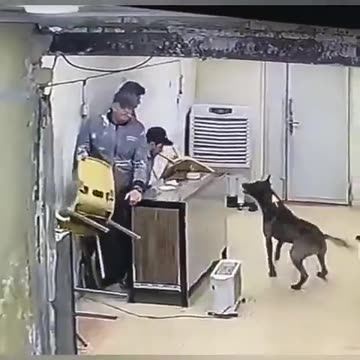 ΝΑ ΠΑΙΞΕΙ ΗΘΕΛΕ