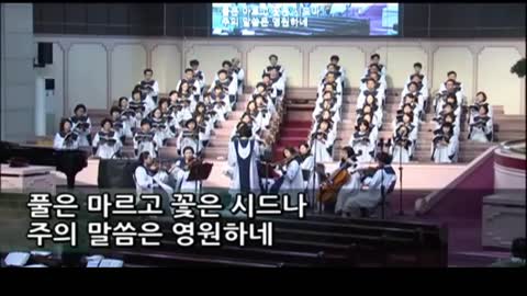 외치라 (제갈수영)