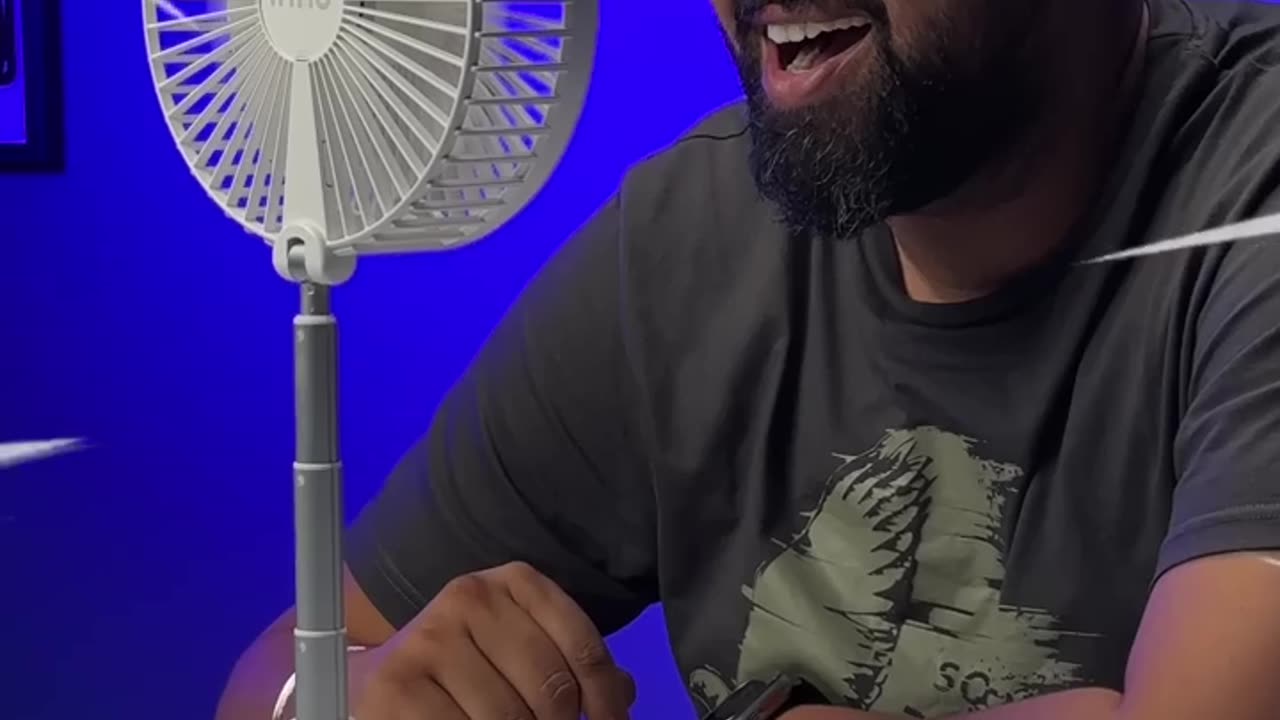 Portable fan