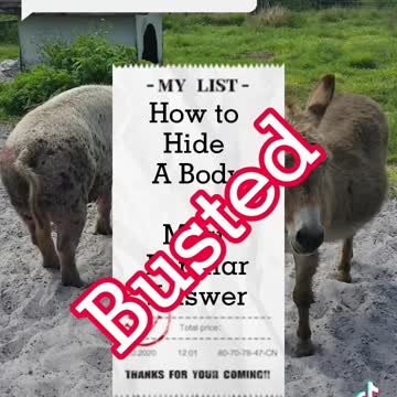 How to Hide a Body/Most Popular answers