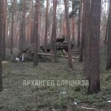 Terminator on the move