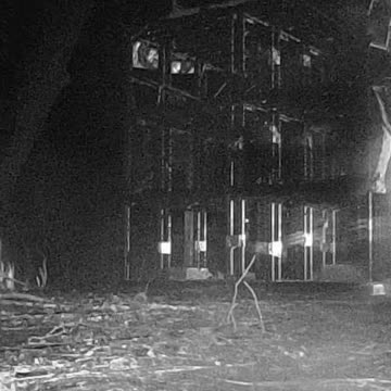 EA S61 - Dog Considers Opossum OR the Reason For the Dog Netting