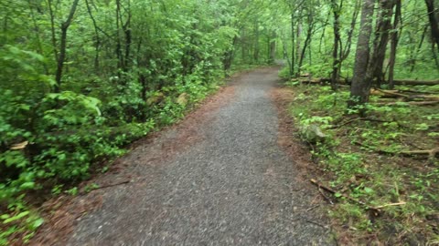 🌳 #Traveling Through The Greenbelt Trails Part 2 In Ottawa, Ontario 🛶 Summer Edition ☀️