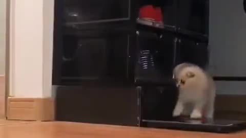 Gonna get you!